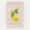 In Defence of Food. A Health Book
